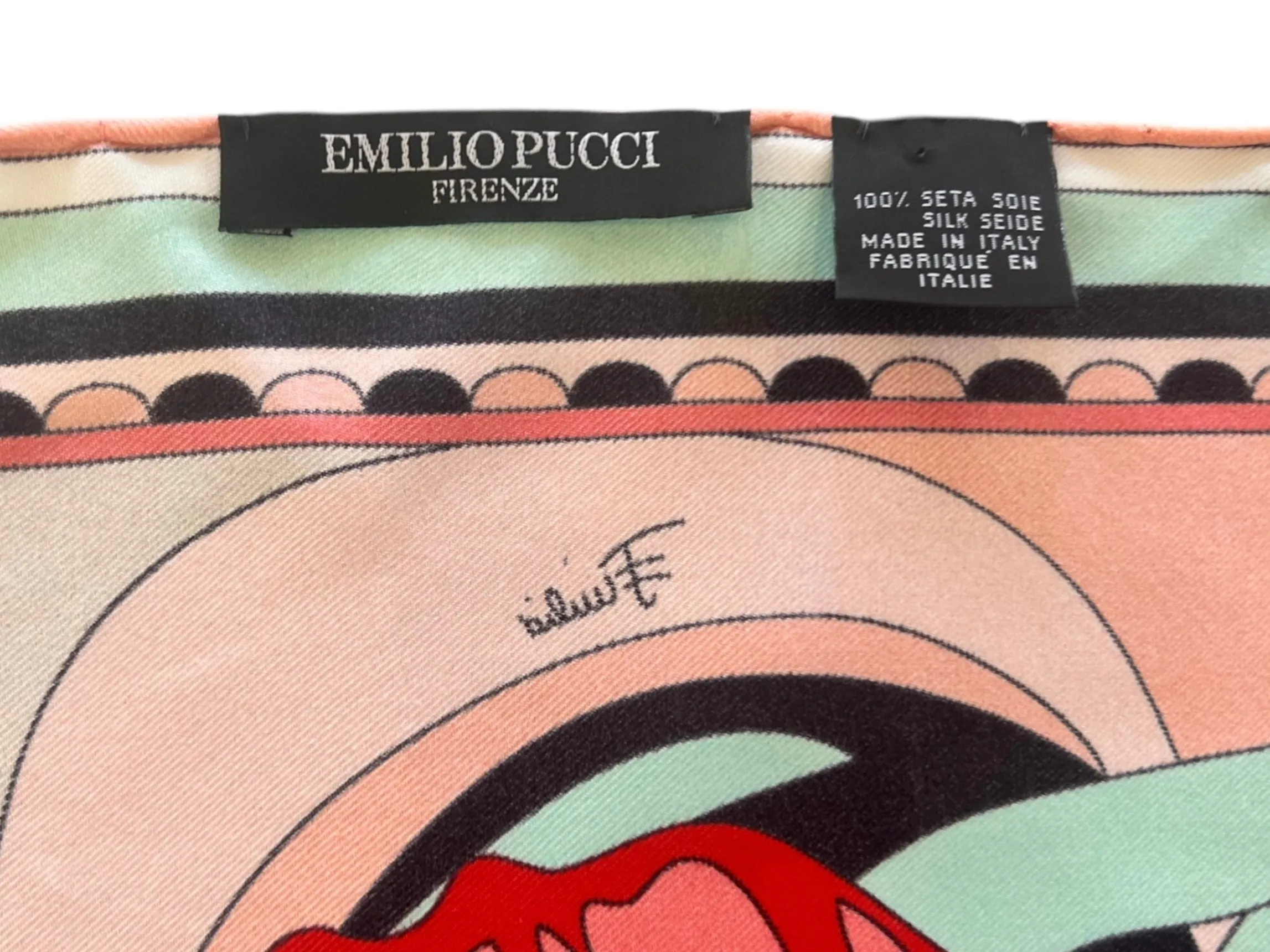 Pucci Pink and Pale Blue Abstract Iris Printed Long Silk Scarf